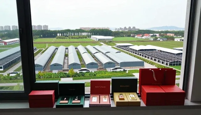 行业专用工具套装使用中常见性能差异分析及应对策略